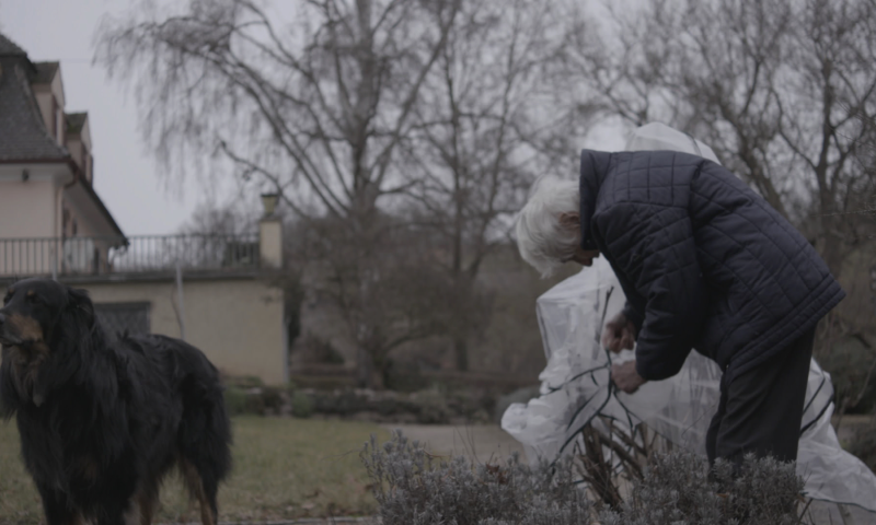 לקראת יום השואה הבינלאומי: התאגיד בסרט תיעודי מצמרר