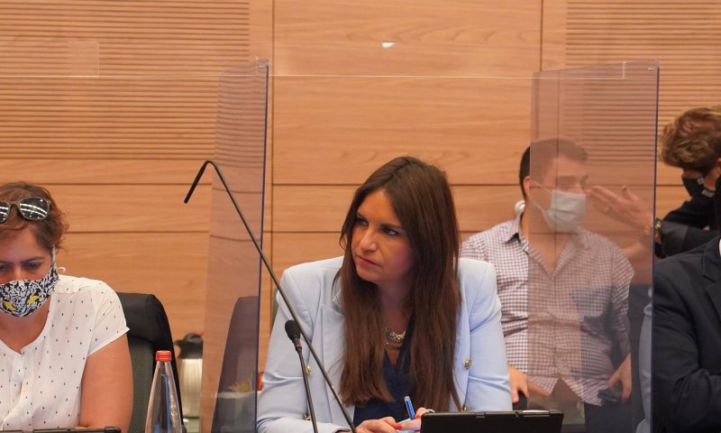 שת"פ נדיר: הממשלה תקדם חוק של ח"כית מהליכוד