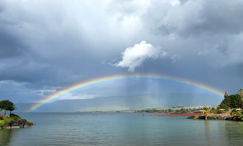 אחרי סופ"ש גשום: מפלס הכנרת רושם קפיצה אדירה