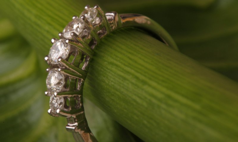 השוטרים החזירו לתיירת את טבעת היהלום היקרה שגנבו בדואים