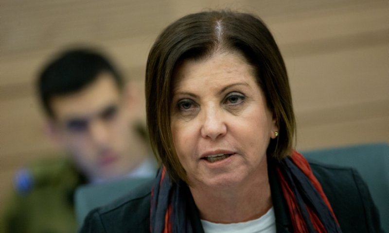 "לא יחזור על עצמו": גלאון חזרה בה מתמונה שפרסמה