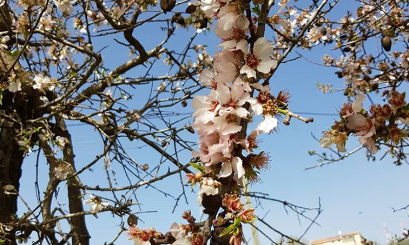 10 הכתבות שעשו לנו את השבוע החולף