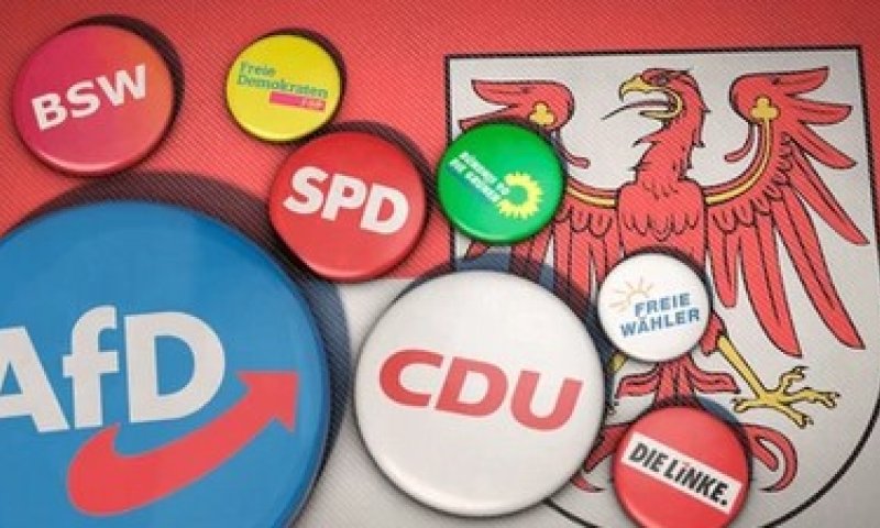 הבחירות בגרמניה: הישג חסר תקדים למפלגות הימין במדגמים