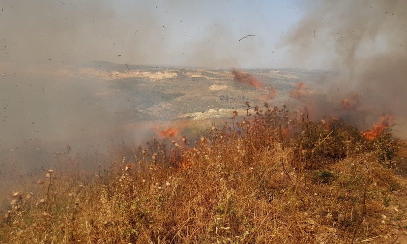 צפו: מחבלים הציתו את שדות היישוב יצהר