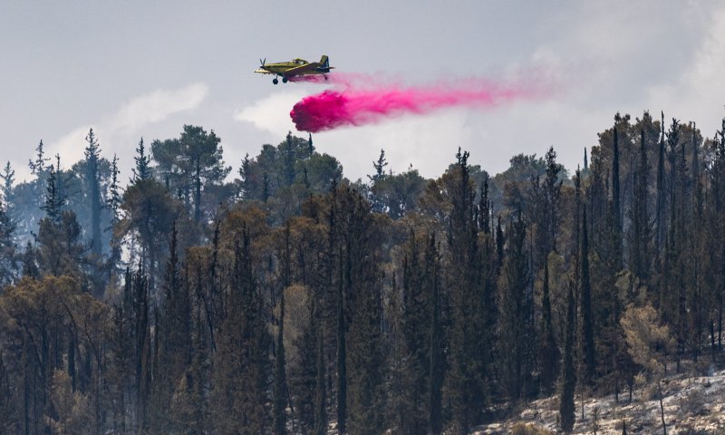 שריפה מתפשטת סמוך לעיר חיפה: דיירים מפונים מבתיהם