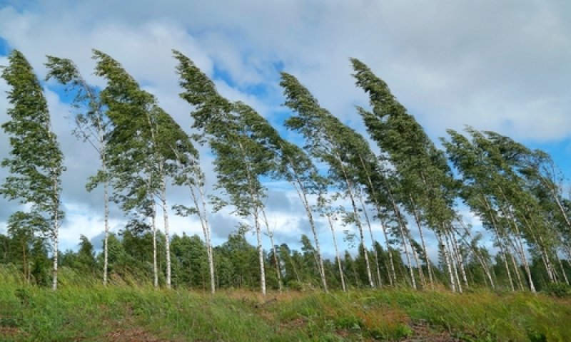 השירות המטאורולוגי: זה מה שיקרה בשעות הקרובות