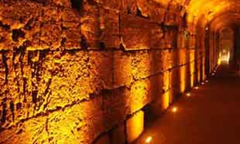 צפו: משדר מיוחד לרגל צום ט' באב