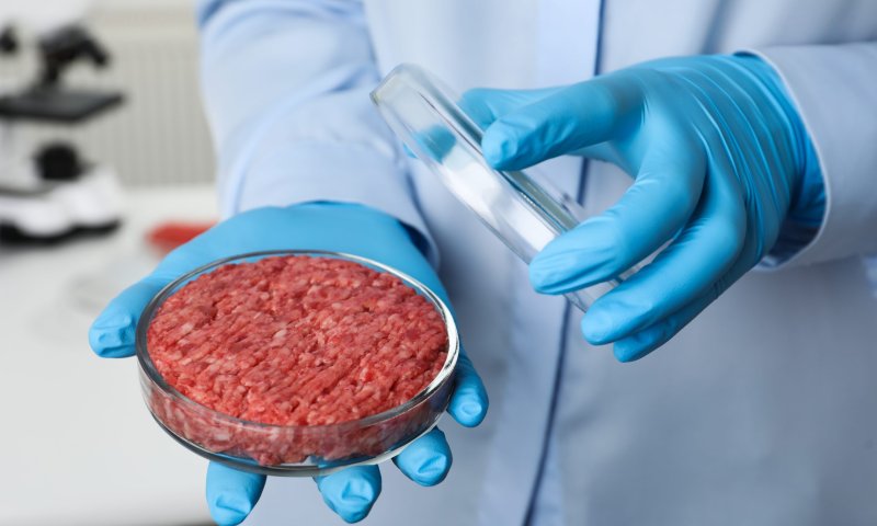 הרב הראשי קבע: בשר מתורבת &ndash; פרווה