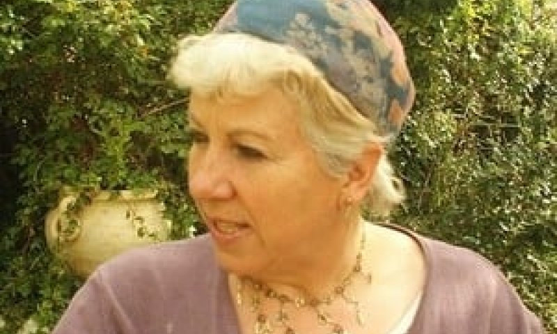 חימום מנועים: ד"ר קהת מגייסת את ארגוני הנשים