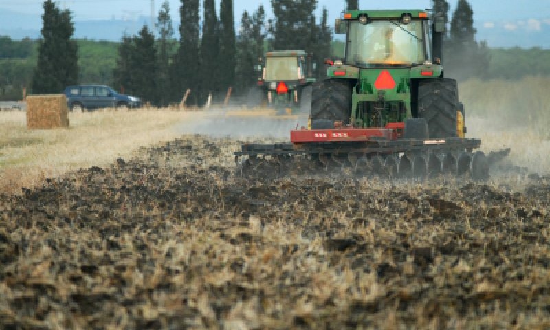 "החקלאים בישראל רוצים לשמור שמיטה כהלכתה"