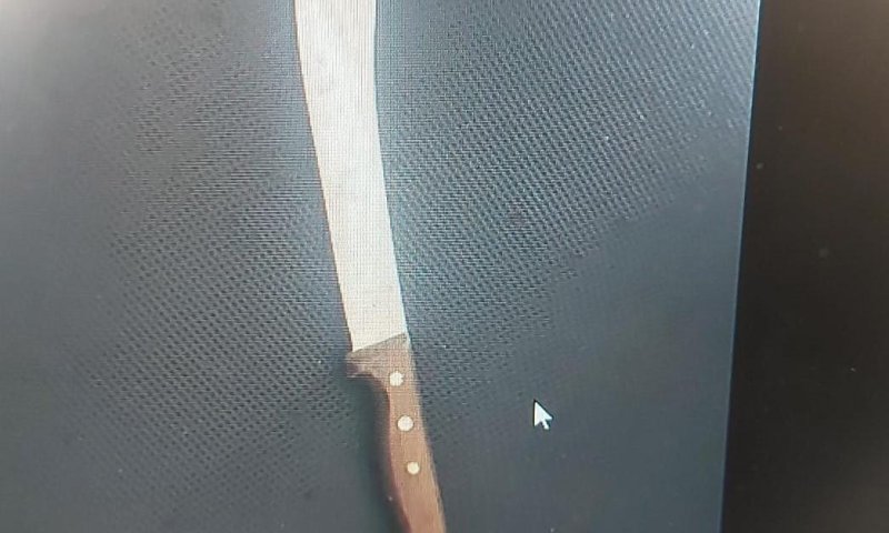 פלסטיני מעזה נעצר ברכבת עם סכין קצבים