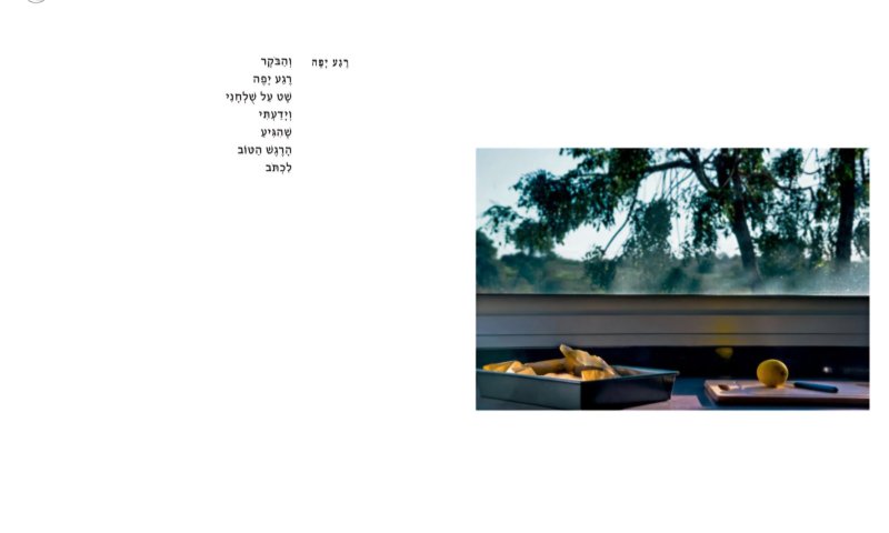 "לא יכולתי לכתוב אז. השירה חזרה עם השתיקה" | בשולי האור