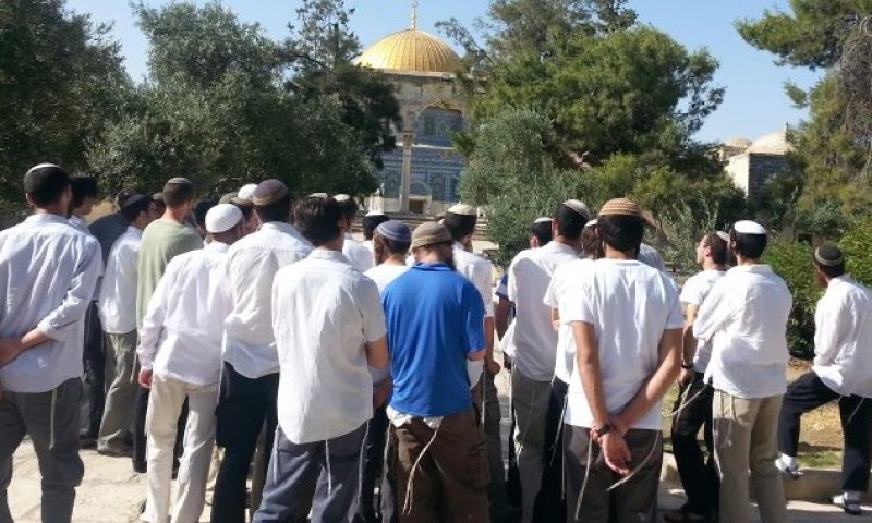 צפו: תפילה לשלום החטופים בהר הבית