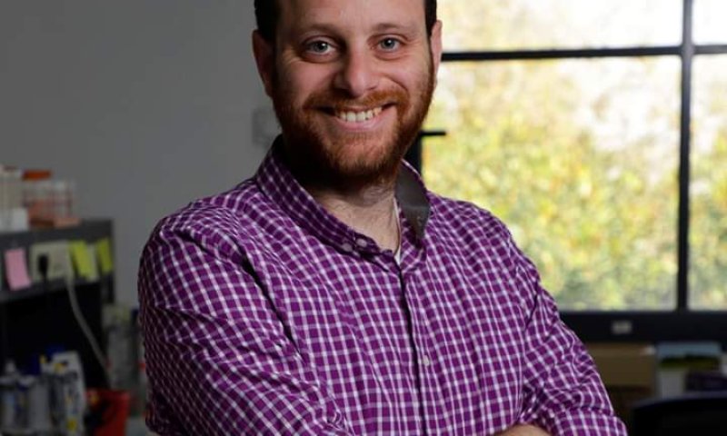 הפרשה מכוונת לי: הקשבה של מכוון לפרשת פנחס