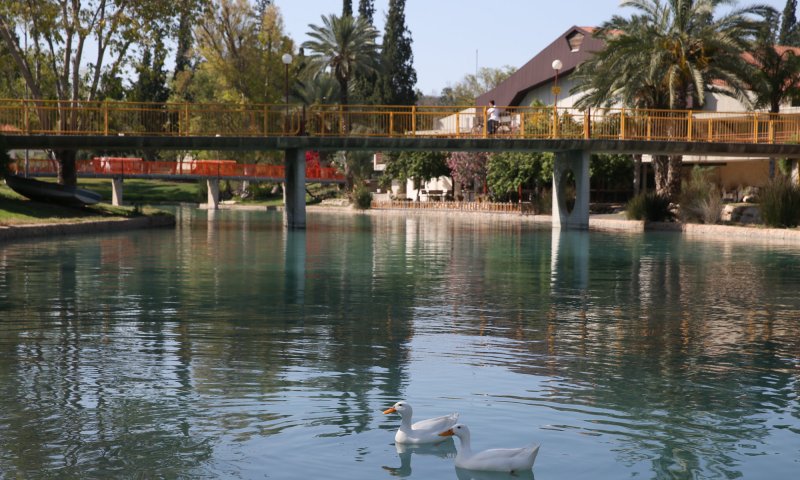 המוחים נגד ההסדר: "סכנה עתידית למשאבי הטבע"