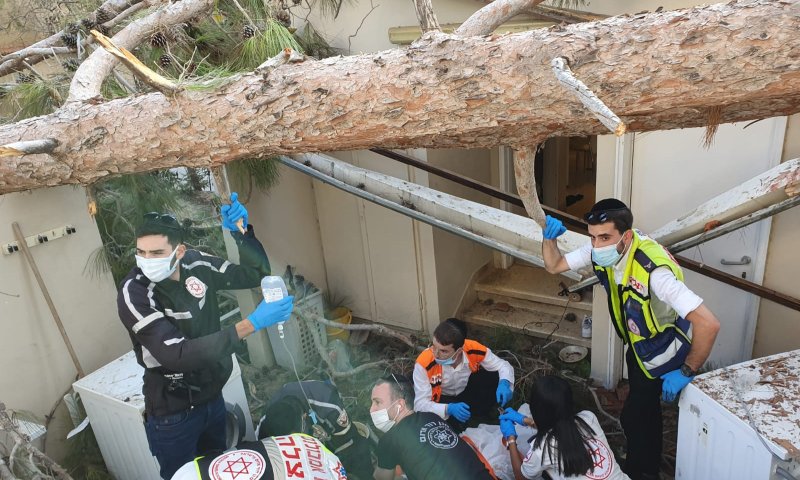 התפללו לרפואתה: עץ קרס; רגלה של הכלה נקטעה