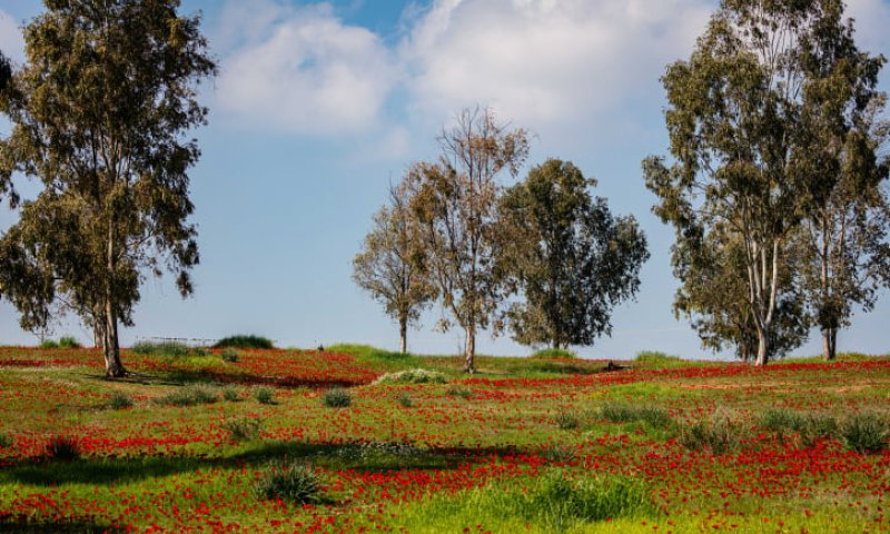 לקראת סופ"ש: השירות המטאורולוגי בעדכון מדאיג