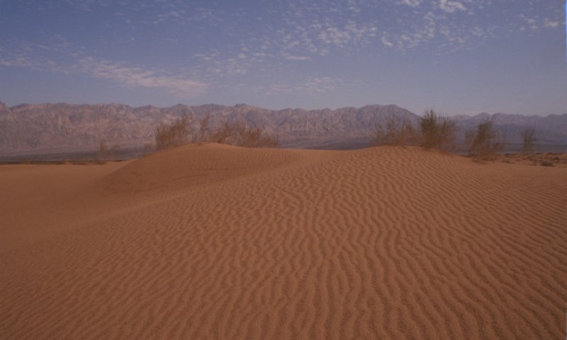 למנוע טרגדיה: אזהרה בעקבות גל החום כבד