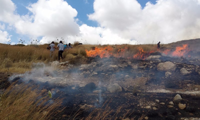 במהלך סוף השבוע: גל הצתות ערביות סביב יצהר