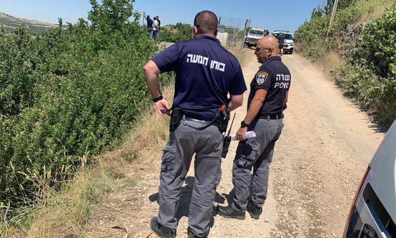 הטרור החקלאי: ערבים גנבו דובדבנים ממטעי גוש עציון