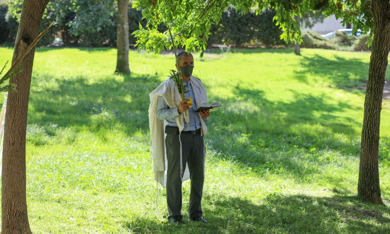 "ההלכה כחבילה שלמה לא מיועדת לכלל עם ישראל"