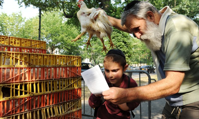 השר פרץ:"מתעללים בתרנגולות שלא לצורך"