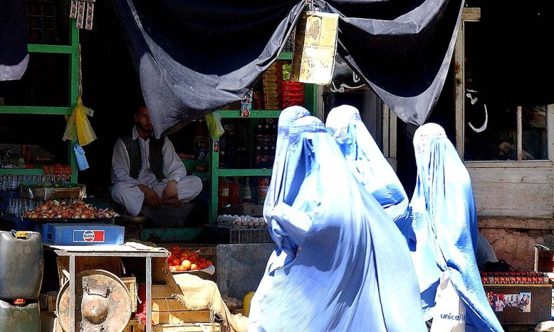 מתעוררים לפלישה: דנמרק אוסרת חבישת בורקה בכל המוסדות