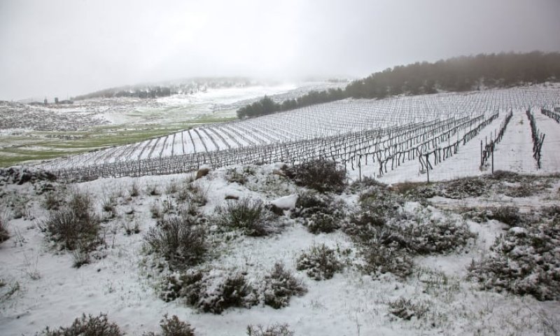 לקראת השלג: ביום רביעי אין לימודים במבשרת ציון