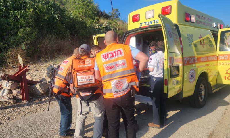 בת שנתיים טבעה בבריכה ופונתה במצב בינוני