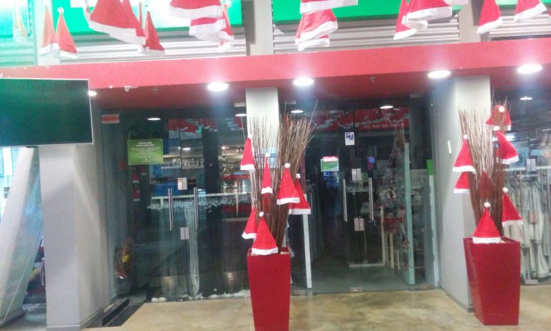 הטכניון מגיב: עץ האשוח הוצב לצד החנוכייה