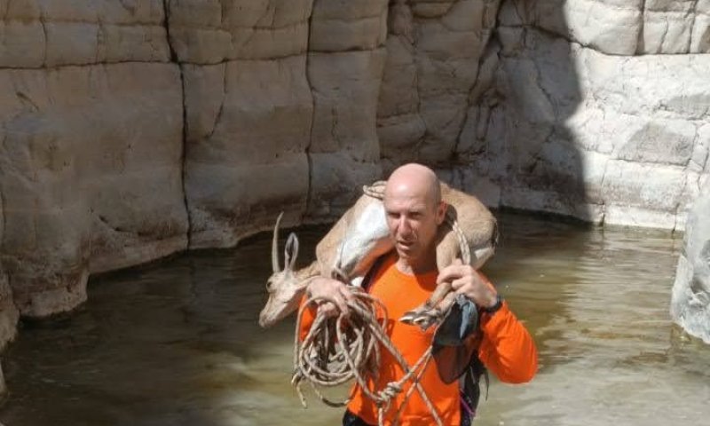 חילוץ לא שגרתי: כך חולצה יעל פצועה מנחל דרגה. צפו