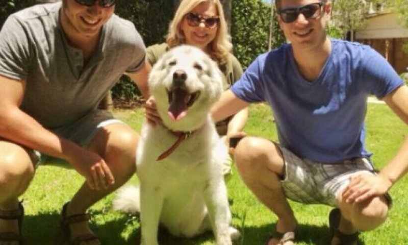 יאיר נתניהו לא לבד: הזמר שהסתבך בגלל הכלבה שלו