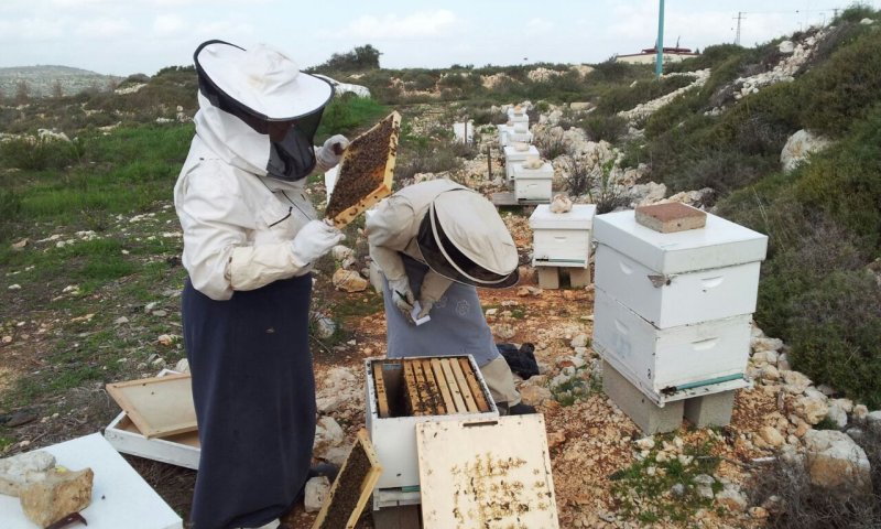 לא רק יין בישע, עכשיו גם דבש​!