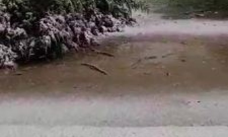 הסערה השתלמה: שלג ראשון החל לרדת. צפו