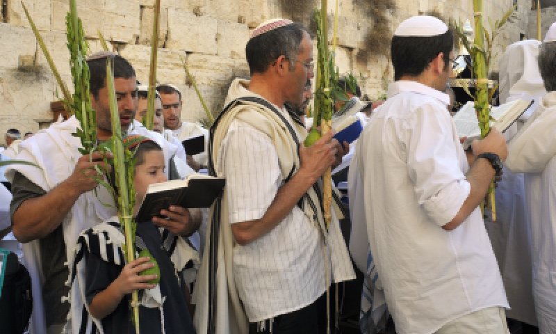 לא צריך יבוא: 700 אלף לולבים תוצרת הארץ
