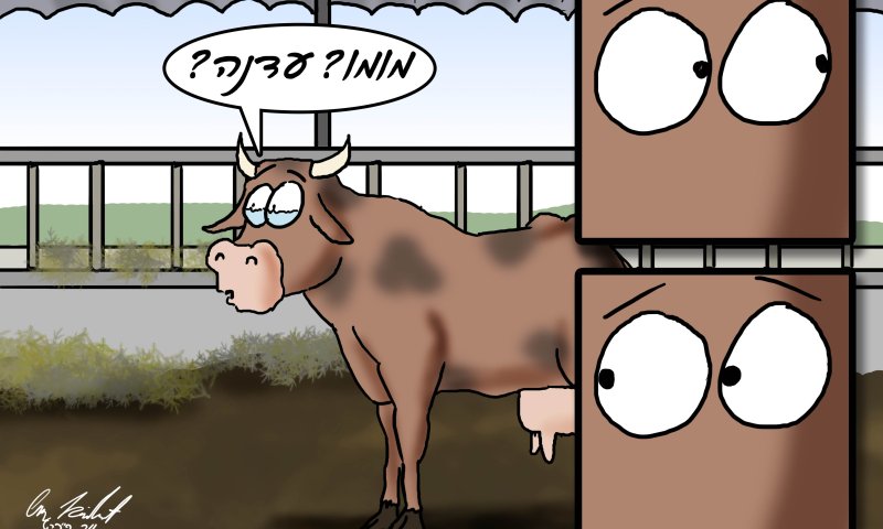 הקריקטורה היומית של אור רייכרט: יום אחרי יום העצמאות