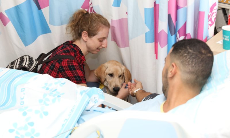 מחווה על 4: הפצועים נפגשו עם כלבי לברדור בביה"ח