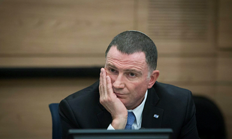 סערה בליכוד: בניגוד לדעת אדלשטיין חזן מונה לסגנו