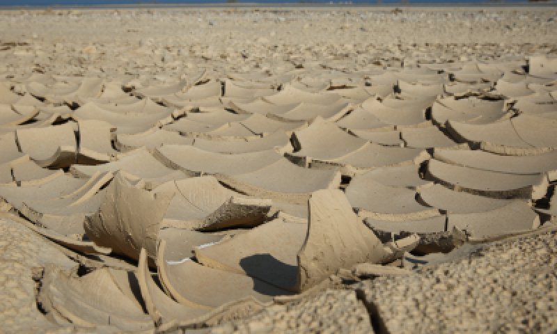פרשת 'בשלח': לחשוף את פיסת האדמה