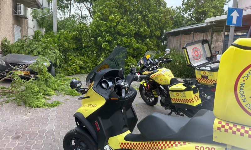 עץ קרס בתל אביב, גבר בן 68 נפצע באורח קל