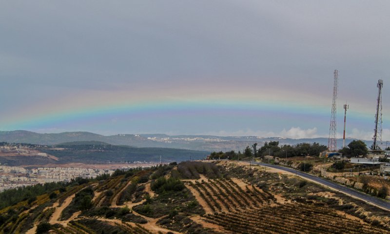 גשמי ברכה: הכנרת עלתה ב-4 ס"מ