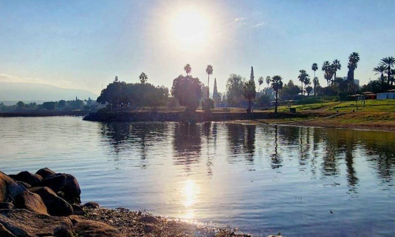 לא רק עלייה: הנתון המדהים שמגיע ממפלס הכנרת