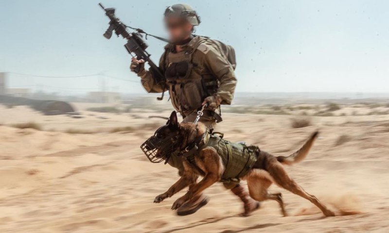 ביבשה באוויר ובים: גלריית תמונת לרגל 75 שנה לצה"ל