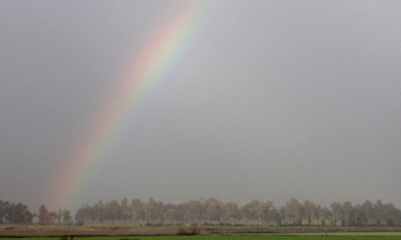 הפוגה קצרה מהגשם; החום חוזר: תחזית מזג האוויר