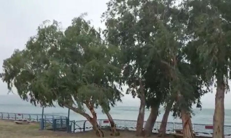 רוחות עזות בכנרת; ארבעה חופים נסגרו: צפו בתיעוד