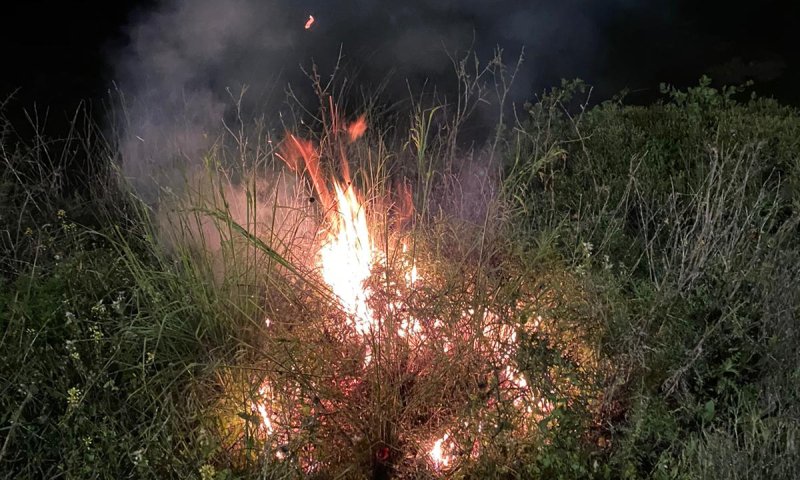 בקבוקי תבערה נזרקו לעבר כוחות מג"ב סמוך ליצהר
