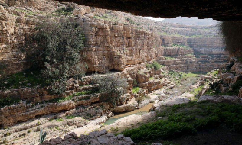 תלמידות בית ספר הוטרדו בידי ערבים בנחל פרת