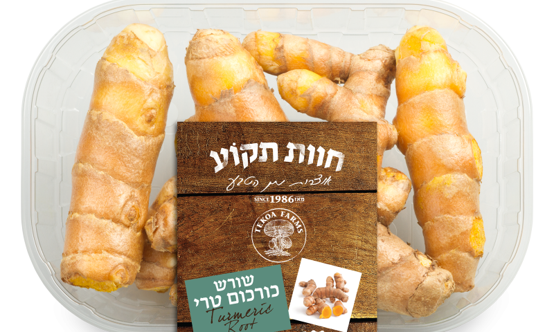 חדש: שורש כורכום טרי ובריא &ndash; בטעם עשיר שמשדרג כל תבשיל