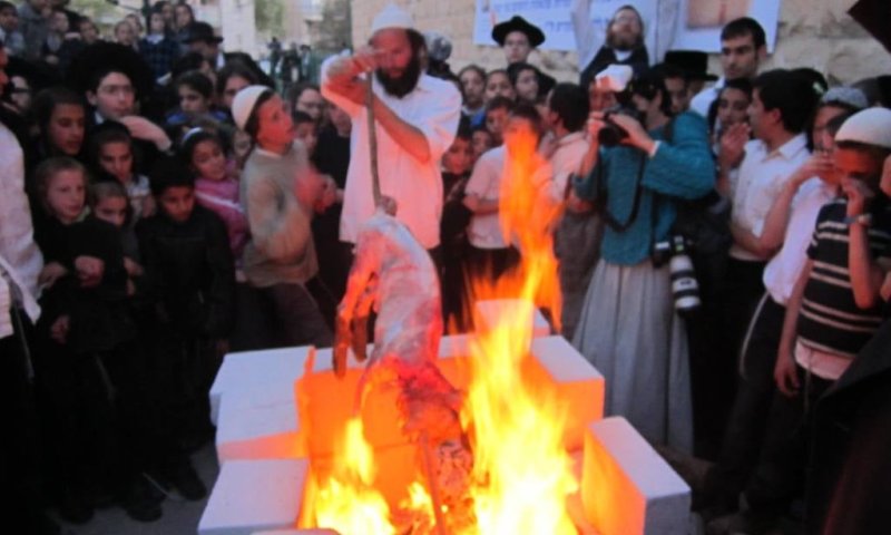 אם השנה נוכל להקריב קרבן פסח, ככה זה ייראה