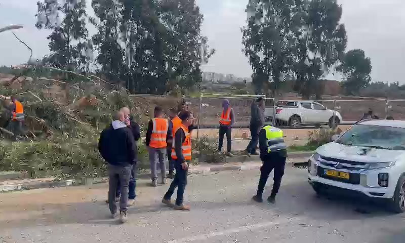 עץ קרס על רכב בקריית אונו: אישה ותינוקת נפצעו קל